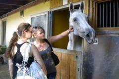 pferdefreunde_lausen_my_nchen_2011_009