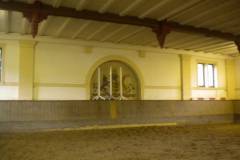 pferdefreunde_lausen_my_nchen_2011_049