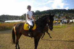 pferdefreunde_lausen_my_nchen_2011_059