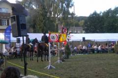 pferdefreunde_lausen_my_nchen_2011_065